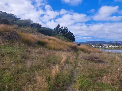 Grassy hill next to the river