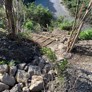 Another View Of New Walkway 22 June 2022 - Thumbnail