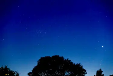 Looking to the stars: Matariki and the meaning of Te Ara Whetū