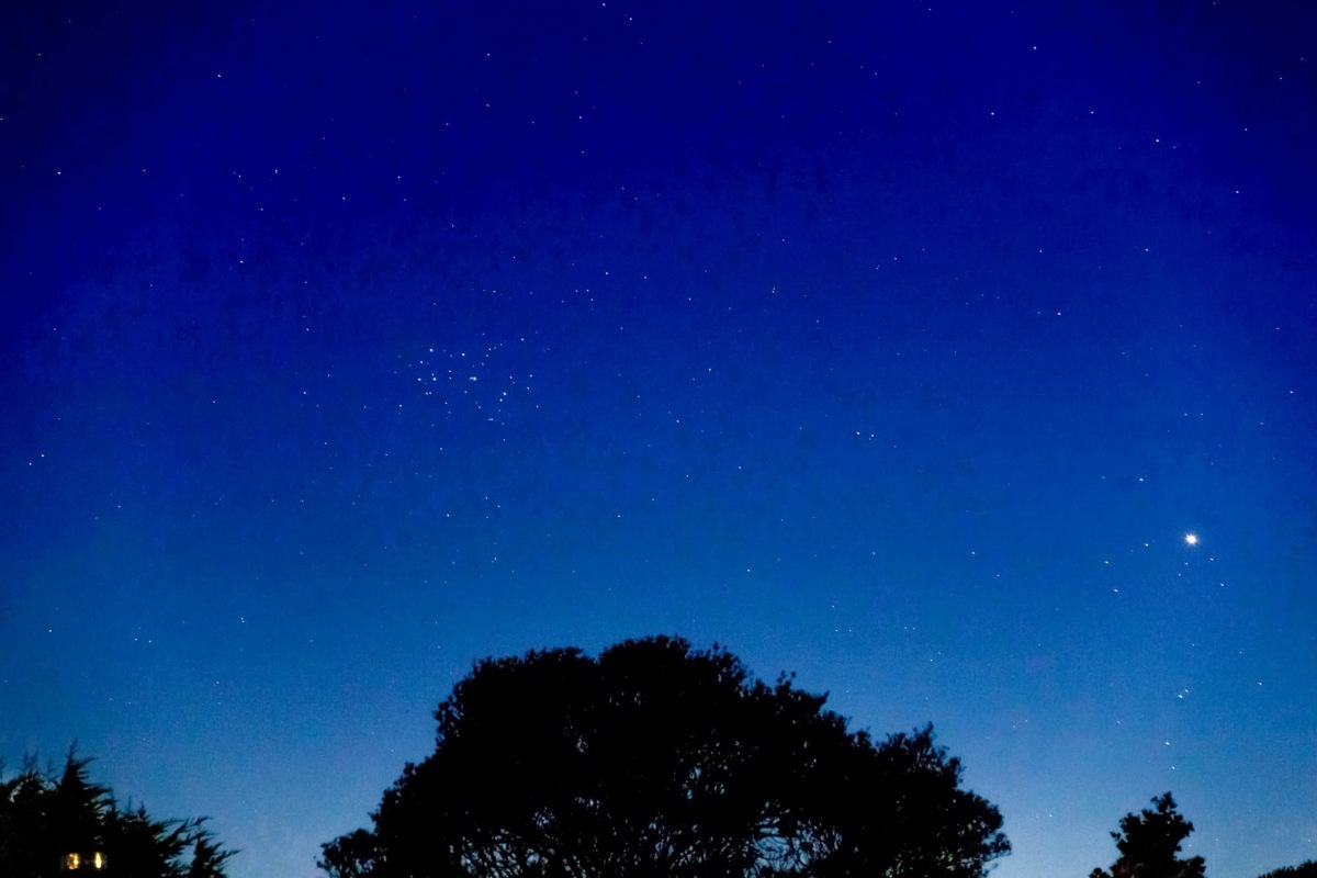 Matariki Pic Stars