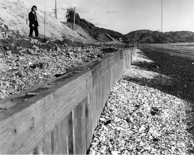 Wooden retaining wall at Raumati Beach, 1970