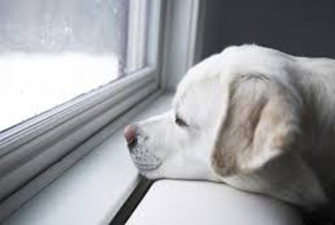 Cosy up for a healthy home and lower emissions
