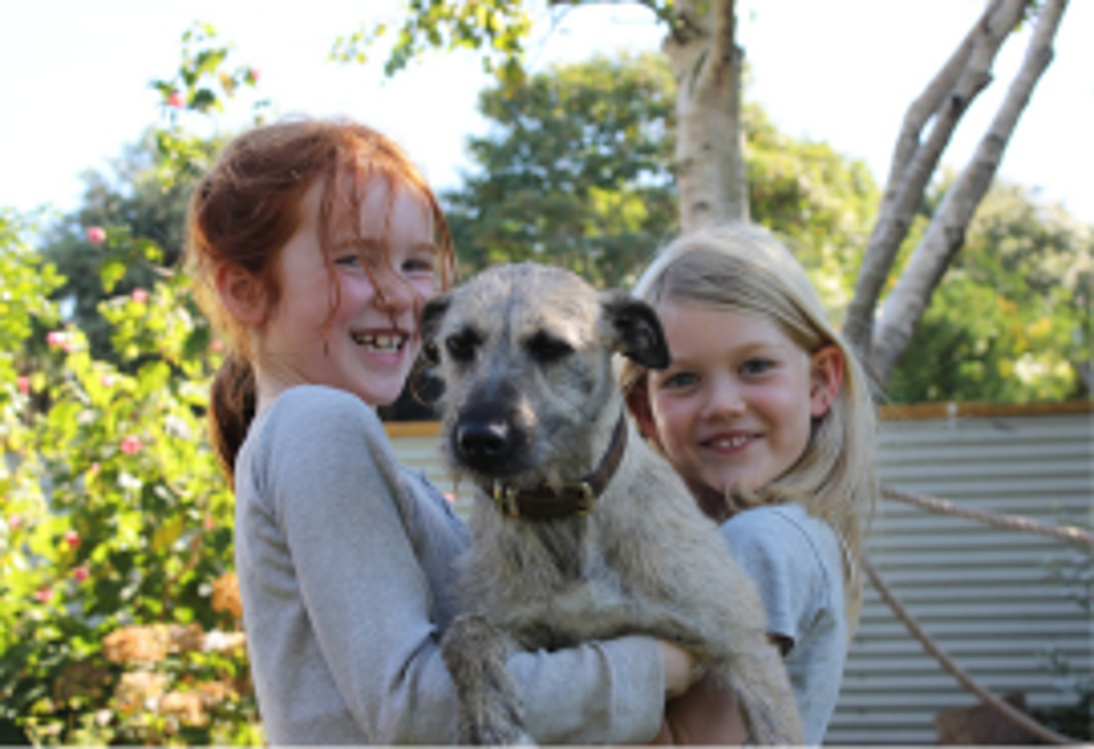 two young girls cuddling a dog with sunshine and trees in the background