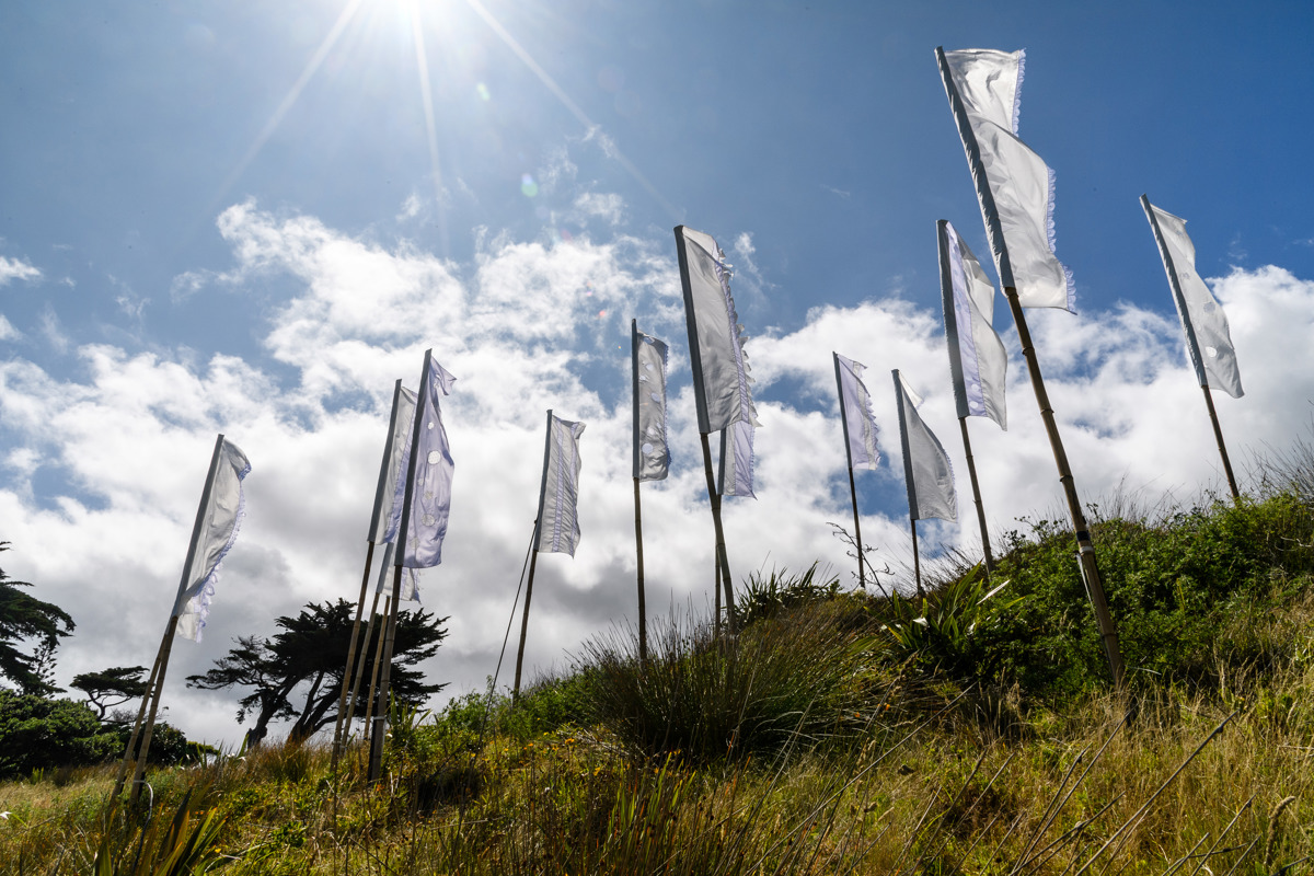 Photo of white flags on a hill in Campbell Park against a blue sky with white clouds. Taken Waitangi Day 2020.