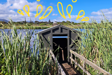 Explore hidden Waikanae Beach these summer holidays