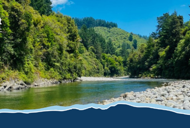 Everything Kāpiti – latest news, events and hot tips