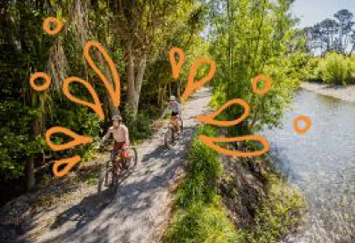 Two people biking on a trail