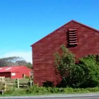 Brown's Flax Mill at Paetawa, May 2011 thumbnail