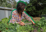 Gardening