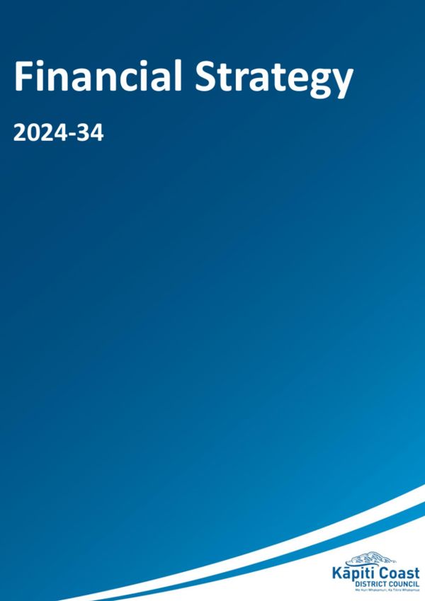 Financial Strategy