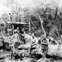 Log milling at Reikōrangi sawmill ca 1910. Hp1573, Joe Greig Collection, Kāpiti Coast District Libraries. thumbnail