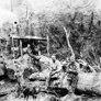 Log Milling Reikorangi Sawmill Ca1910 - Thumbnail