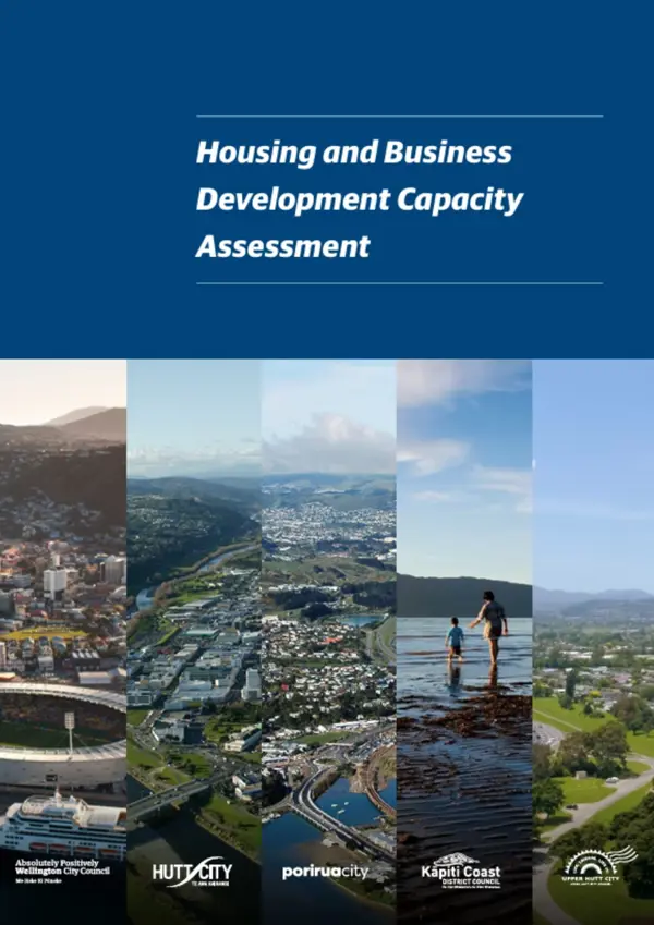 Housing And Business Development Capacity Assessment 2019