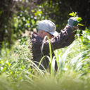 Waimeha Reserve Volunteers - Thumbnail