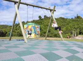 Kaitawa Reserve swings