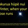 Takurua Hupe Nui - Thumbnail