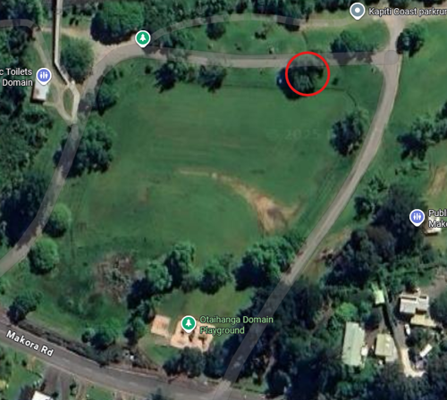 Section of the road at Otaihanga domain will be closed