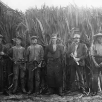 Workers from Browns' Flax Mill, Waikanae, circa 1910. HP1371, Brown Collection, Kāpiti Coast District Libraries. thumbnail