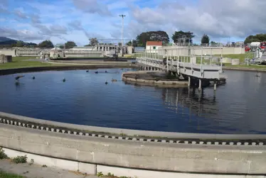 What's happening in Kāpiti this week