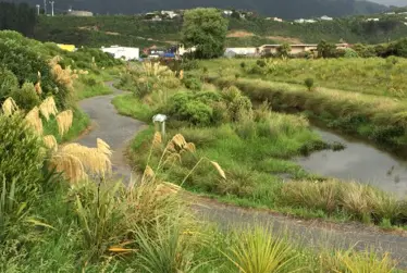 Keeping our parks safe - why electric motorbikes don’t belong in our parks and reserves