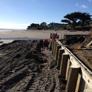 Img 1668 - Thumbnail
