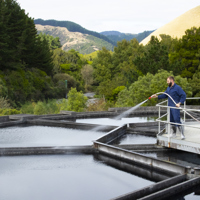 Waikanae Water Treatment thumbnail