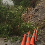Img 1317 - Thumbnail