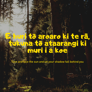 E Huri To Aroaro Turn Your Face To The Sun - Thumbnail