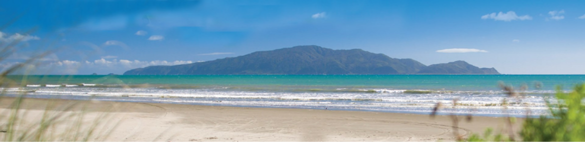 Island UE Banner