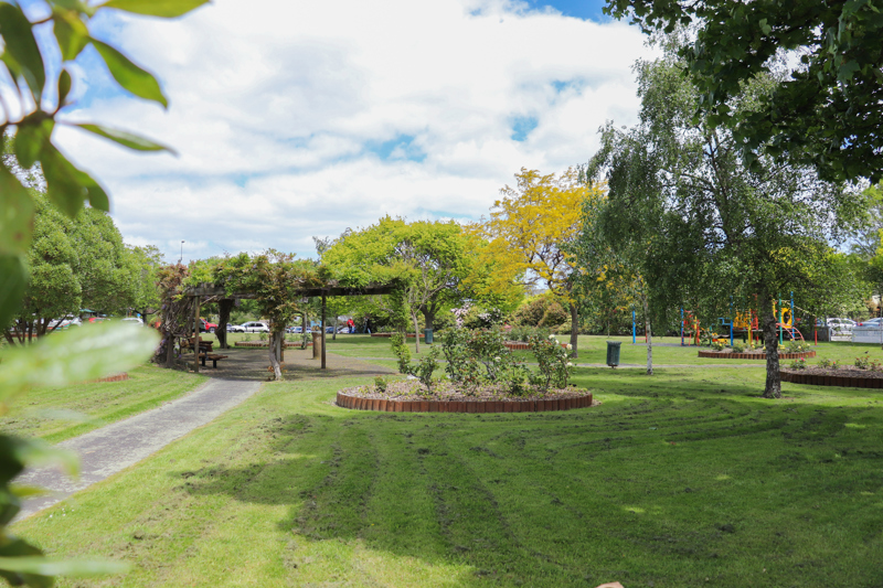 Waikanae War Memorial roses