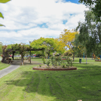 Waikanae War Memorial roses thumbnail