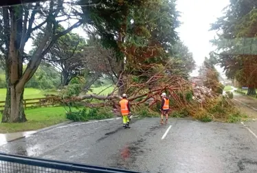 Everything Kāpiti – your weekly update