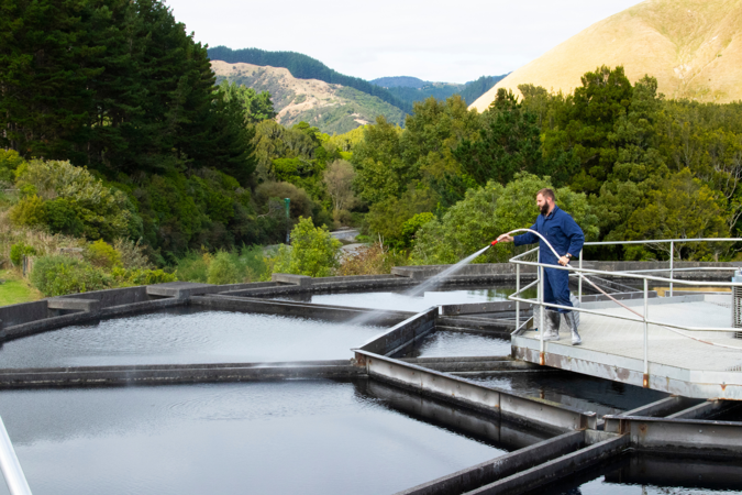 Photo of a Council worker using a hose at the Waikanae water treatment plant, with bush in the background.