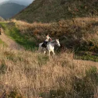 Horse riding at Queen Elizabeth Park thumbnail