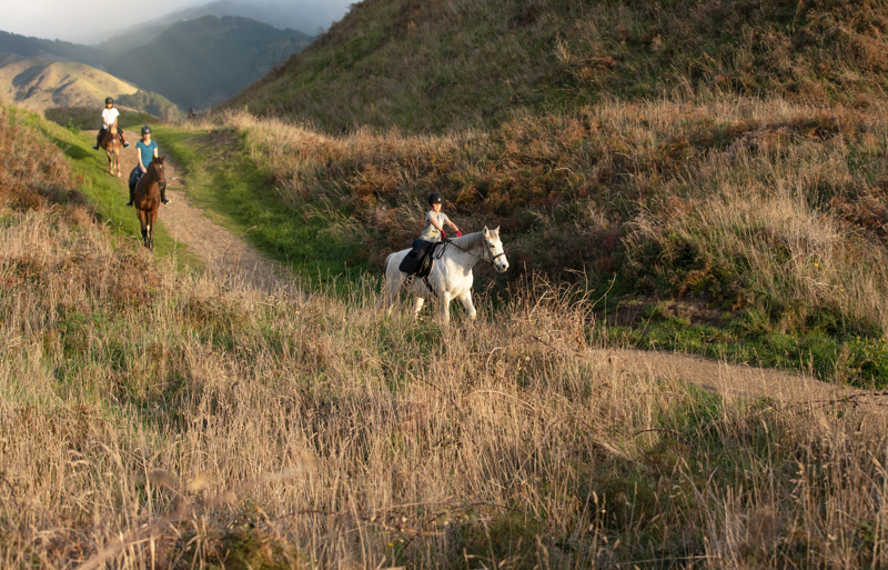 Horse riding at Queen Elizabeth Park