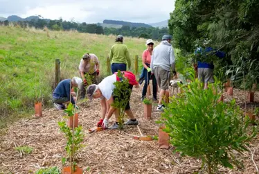 Stay informed with Everything Kāpiti