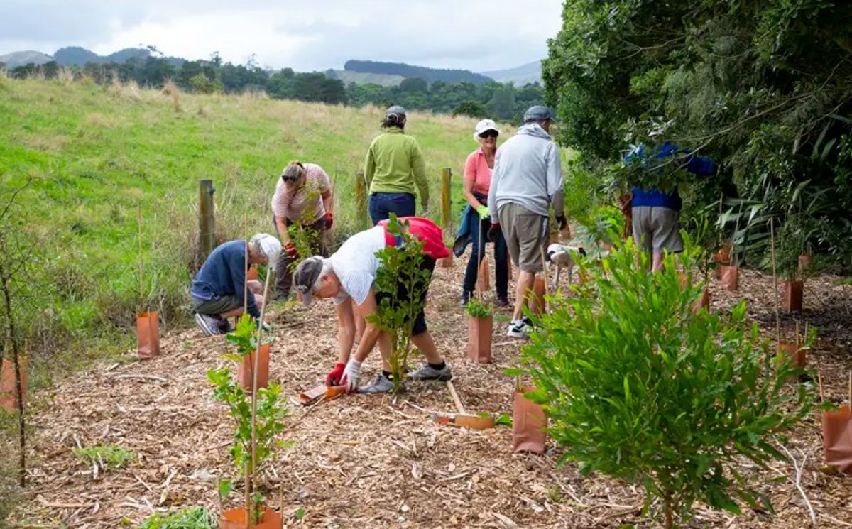 Friends Of The Ōtaki River Restoration Group