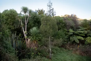 Heritage Fund grants awarded to protect special heritage places across Kāpiti