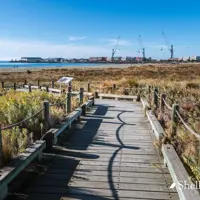Boardwalk with kickrails thumbnail
