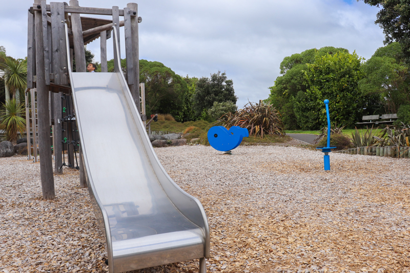 Kotuku Park slide