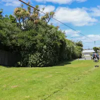 Tasman Road Reserve flying fox thumbnail