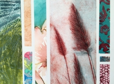 Ydemilleartstrailweblanding Page