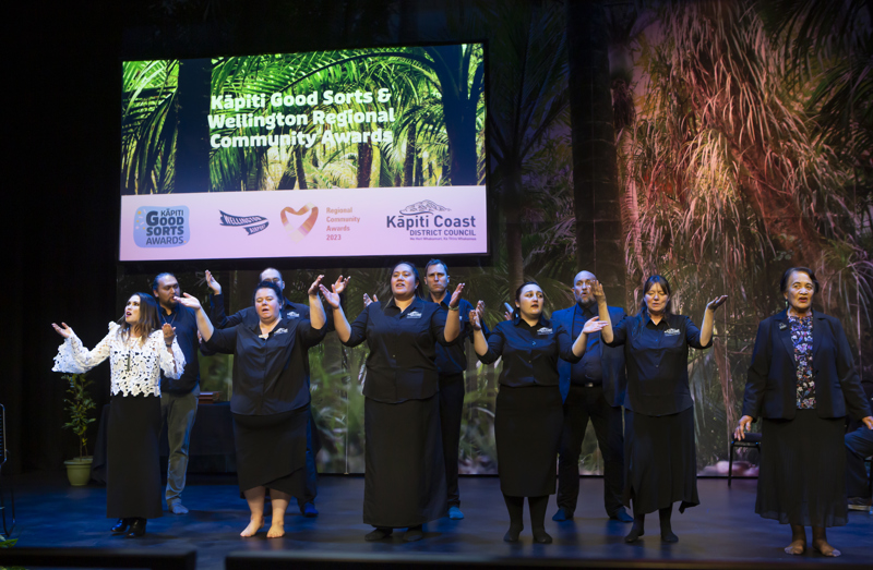 Council's Te Waka Group