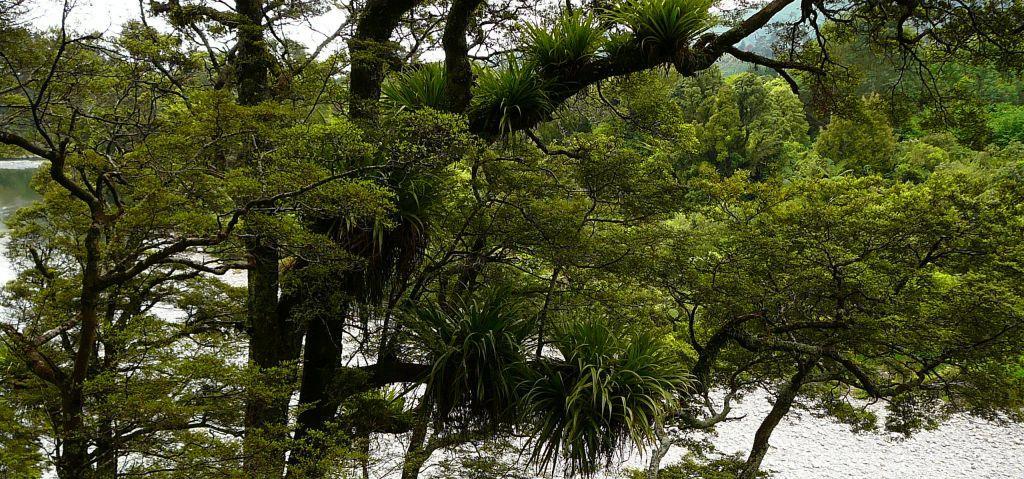 Ōtaki River