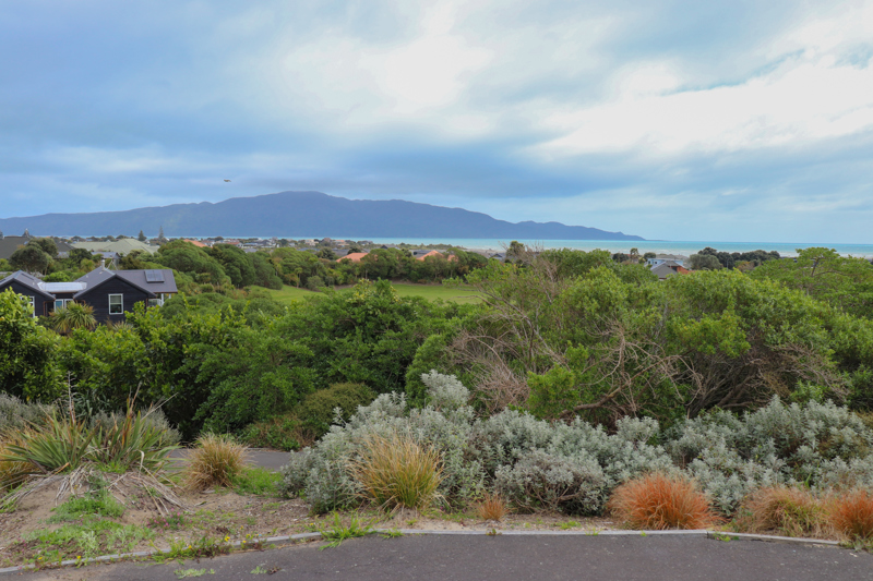 Kotuku Park view