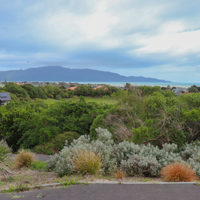Kotuku Park view thumbnail