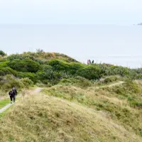 Walking at Queen Elizabeth Park thumbnail