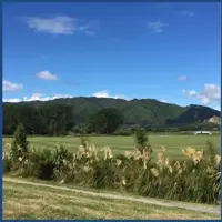 Otara Park thumbnail