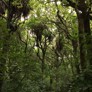 Fb Wiparata1 - Thumbnail