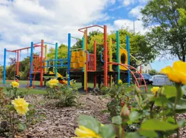 Waikanae War Memorial 2023 roses and playground